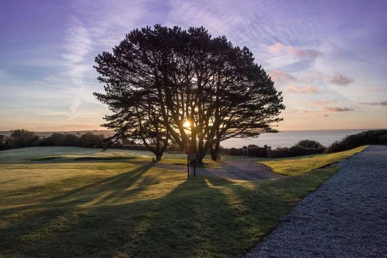 A tree on the grounds of the Carlyon Bay Hotel at Sunrise