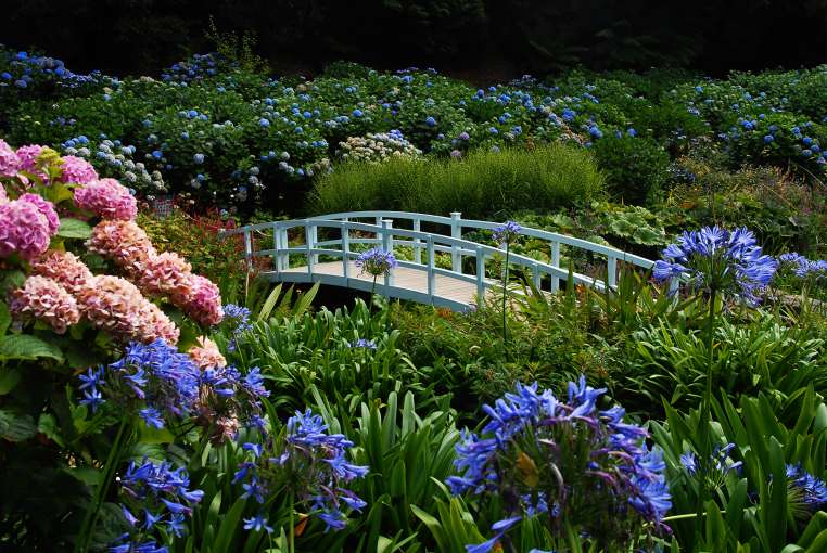 Trebah Gardens in Cornwall