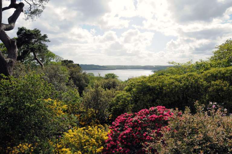 Antony Woodland Garden at Torpoint