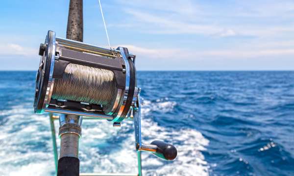 Sea fishing