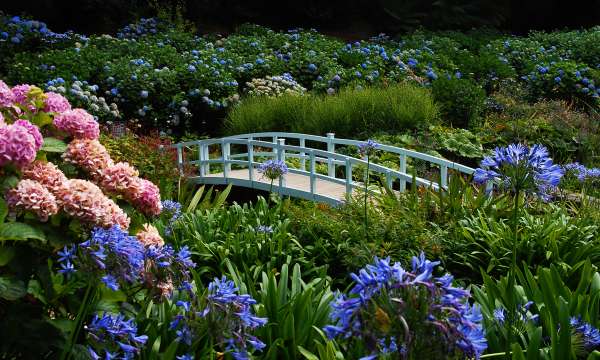 Trebah Gardens in Cornwall