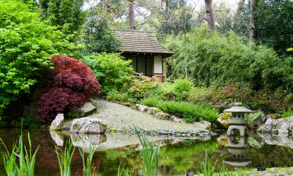 Pinetum Gardens St Austell