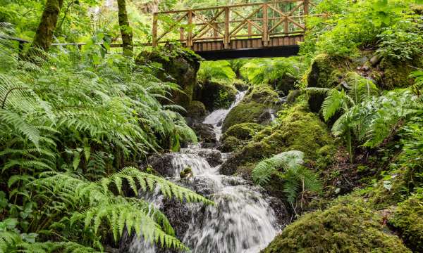 Waterfall at Canonteign Falls