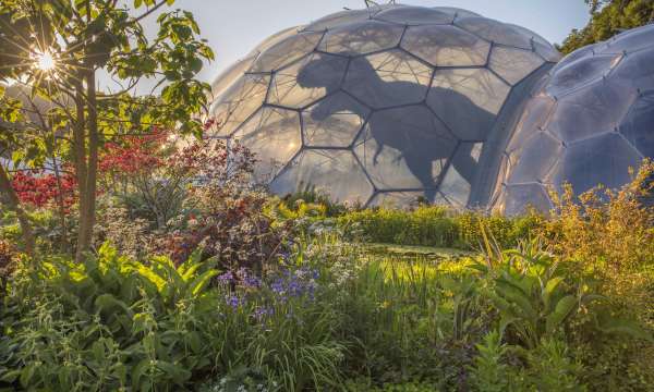 Dinosaurs Return at the Eden Project in Cornwall