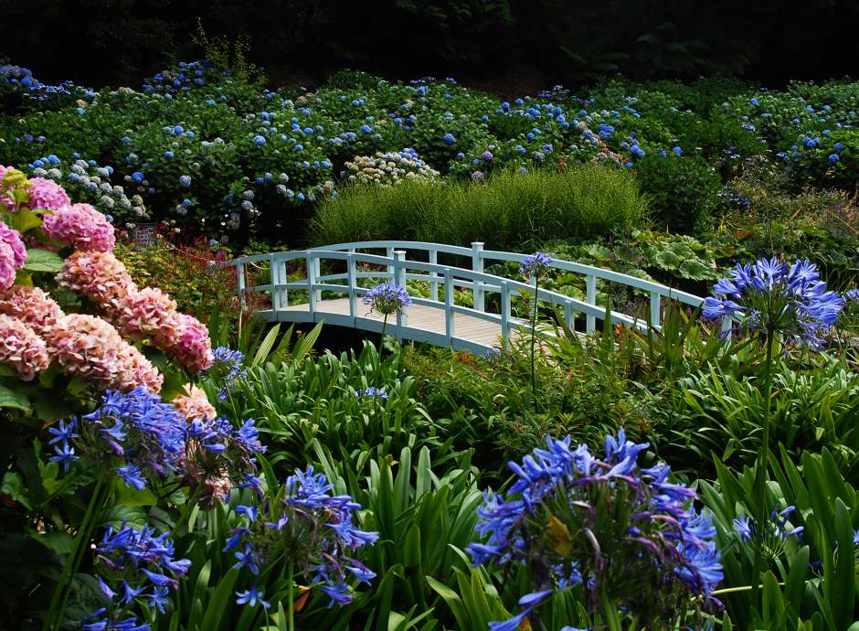 Trebah Gardens in Cornwall