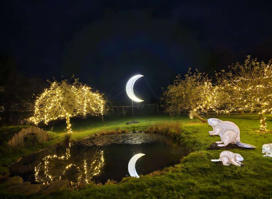 Heligan Night Garden at The Lost Gardens of Heligan