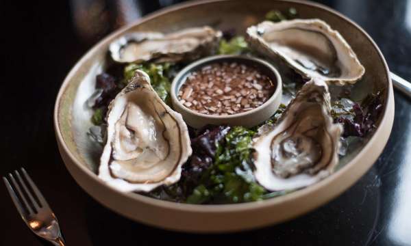 Oyster starter in the Taste of Cornwall Brasserie, Carlyon Bay Hotel