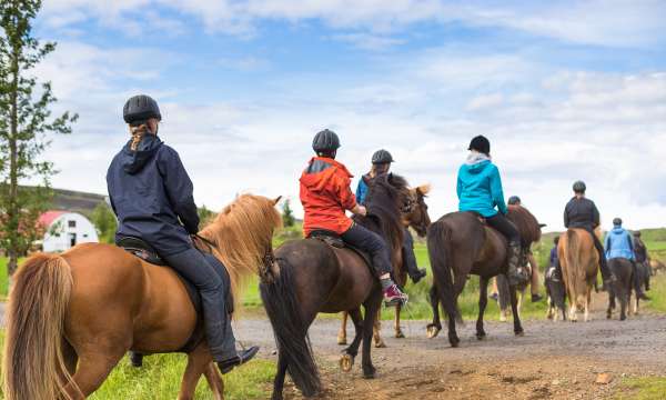 Horseriders Barguse Riding Centre