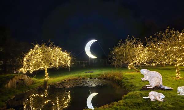 Heligan Night Garden at The Lost Gardens of Heligan