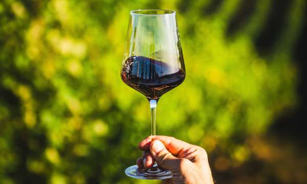 Wine tasting
